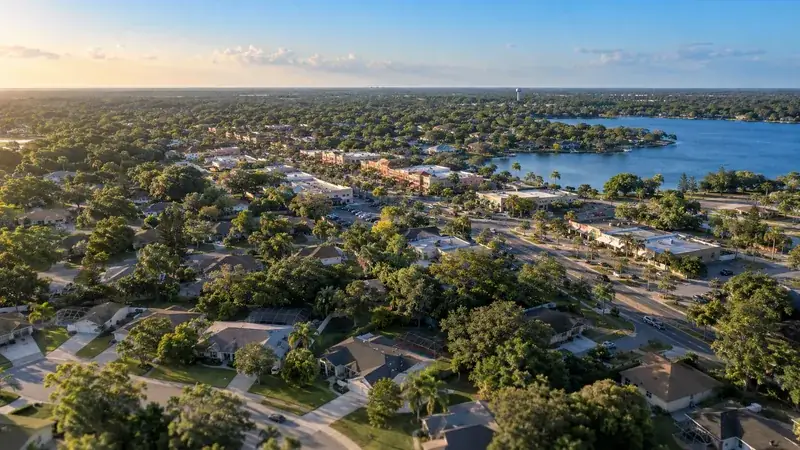 Aerial view of Northdale, FL